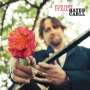 Hayes Carll: You Get It All, LP