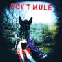 Gov't Mule: Gov't Mule, LP,LP