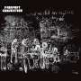 Fairport Convention: What We Did On Our Holidays, LP