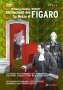 Wolfgang Amadeus Mozart: Die Hochzeit des Figaro (in dt.Spr.), DVD
