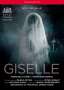 : The Royal Ballet - Giselle, DVD