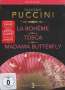 Giacomo Puccini: 3 Opern-Gesamtaufnahmen, DVD,DVD,DVD,DVD,DVD,DVD