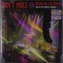 Gov't Mule: Bring On The Music: Live At The Capitol Theatre Vol.3 (180g) (Purple/Yellow Vinyl), LP