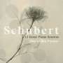 Franz Schubert: Klaviersonaten D.537,575,664,784,840,845,850,894,958,959,960, CD,CD,CD,CD,CD