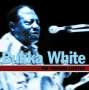 Bukka White: The Panama Limited, CD