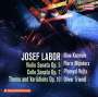 Josef Labor (1842-1924): Violinsonate Nr.1 d-moll op.5, CD