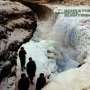 Echo & The Bunnymen: Porcupine, LP