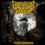 Destroying The Devoid: Paramnesia, CD