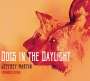 Jeffrey Martin: Dogs In The Daylight, CD