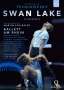 : Ballett am Rhein - Schwanensee, DVD