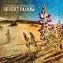 Florian Hoefner: Desert Bloom, CD