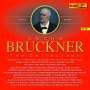 Anton Bruckner (1824-1896): Anton Bruckner - The Collection (Neuausgabe 2017), 23 CDs