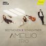 Text: "BEETHOVEN X SCHACHTNER AMELIO TRIO". Drei sitzende Personen mit Instrumenten auf hellem Boden., CD