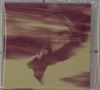 Die Worte "In Between Strides" und "Bees Made Honey in the Vein Tree" erscheinen. Hintergrund in verschwommenem Gelb und Braun., CD