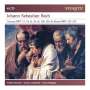 Johann Sebastian Bach: Kantaten BWV 27,34,41,56,82,206,207a, CD,CD,CD,CD