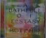 Hot Chip: A Bathfull Of Ecstasy, CD