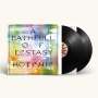 Hot Chip: A Bath Full Of Ecstasy (180g), LP,LP