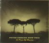 Peter Erskine: In Praise Of Shadows, CD, CD