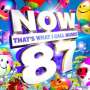 : Now That's What I Call Music! Vol.87, CD,CD
