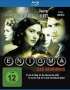 Michael Apted: Enigma - Das Geheimnis (Blu-ray), BR
