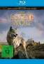 Jean-Jacques Annaud: Der letzte Wolf (Blu-ray), BR
