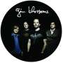 Gin Blossoms: Live In Concert (Limited Edition) (Picture Disc), LP