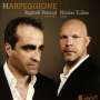 : Raphael Perraud & Nicolas Tulliez - Harpeggione, CD