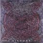 Unleashed: Victory (Crystal Clear W/ Silver & Red Splatter Vinyl), LP, LP