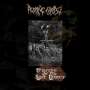 Rotting Christ: Triarchy Of The Lost Lovers, CD
