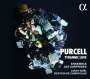 Henry Purcell: Tyrannic Love (Arien & Instrumentalwerke), CD