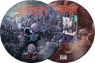 Suffocation: Effigy Of The Forgotten (Limited Edition) (Picture Disc), LP, LP