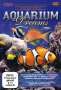 : Aquarium Dreams, DVD