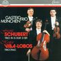 "Gasteig Trio München, Franz Schubert Trio in B-Dur D 581, Heitor Villa-Lobos Trio (1945)." Drei Männer mit Streichinstrumenten.