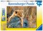: Ravensburger Kinderpuzzle - Kleiner Löwe - 200 Teile Puzzle für Kinder ab 8 Jahren, Div.