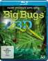 Steve Nicholls: Big Bugs 3D - Kleine Krabbler ganz groß (3D Blu-ray), BR