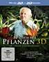 Martin Williams: Im Reich der Pflanzen (3D & 2D Blu-ray), BR