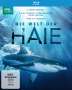 : Die Welt der Haie (Blu-ray), BR
