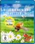Jan Haft: Wildbienen und Schmetterlinge (Blu-ray), BR