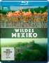 Victoria Bromley: Wildes Mexiko (Blu-ray), BR