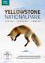 : Yellowstone Nationalpark: Winter - Frühling - Sommer, DVD
