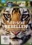 Joanne Ashmana: Tierische Rebellen, DVD