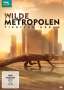 Matt Brandon: Wilde Metropolen - Tierisch Urban, DVD