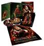 Die Tribute von Panem - Catching Fire (Fan Edition), 2 DVDs