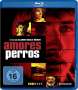 Alejandro Gonzalez Inarritu: Amores Perros (Blu-ray), BR
