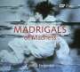 Calmus Ensemble - Madrigals of Madness, CD