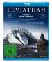 Andrey Zvyagintsev: Leviathan (2014) (Blu-ray), BR