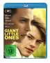 Keith Behrmann: Giant little Ones (Blu-ray), BR