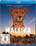 Matto Barfuss: Maleika (Blu-ray), BR
