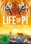 Life Of Pi, DVD