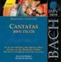 Johann Sebastian Bach: Die vollständige Bach-Edition Vol.53 (Kantaten BWV 176-178), CD